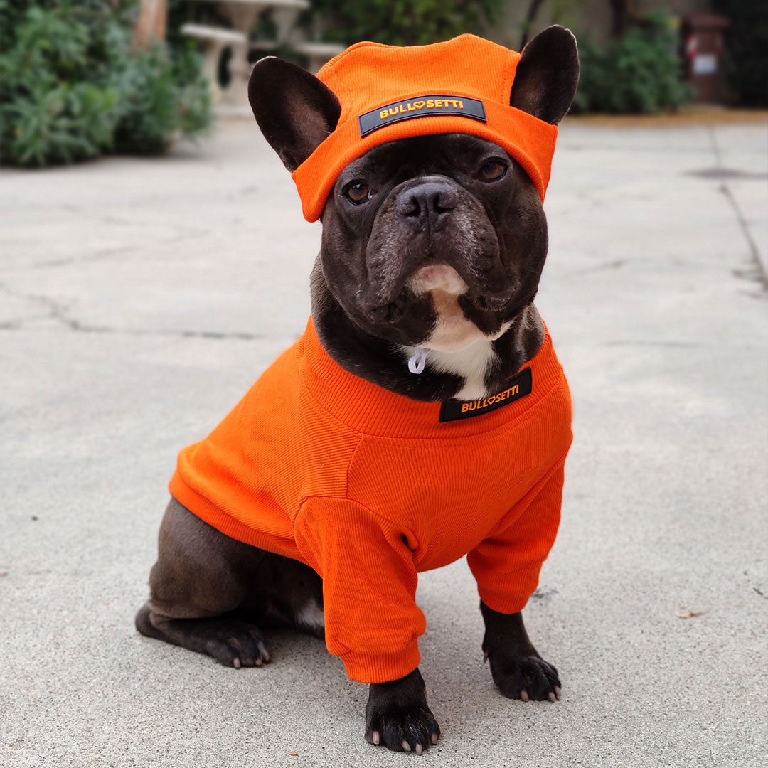 Tight-fitting sweater with cotton cap - streetwear - orange