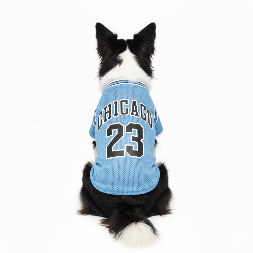 Maglietta rinfrescante per cani - Jersey shirt