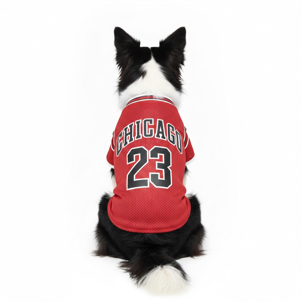 Maglietta rinfrescante per cani - Jersey shirt