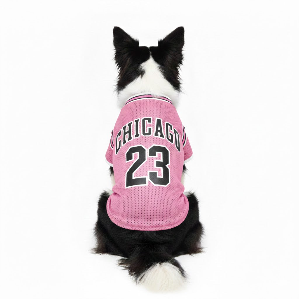 Maglietta rinfrescante per cani - Jersey shirt