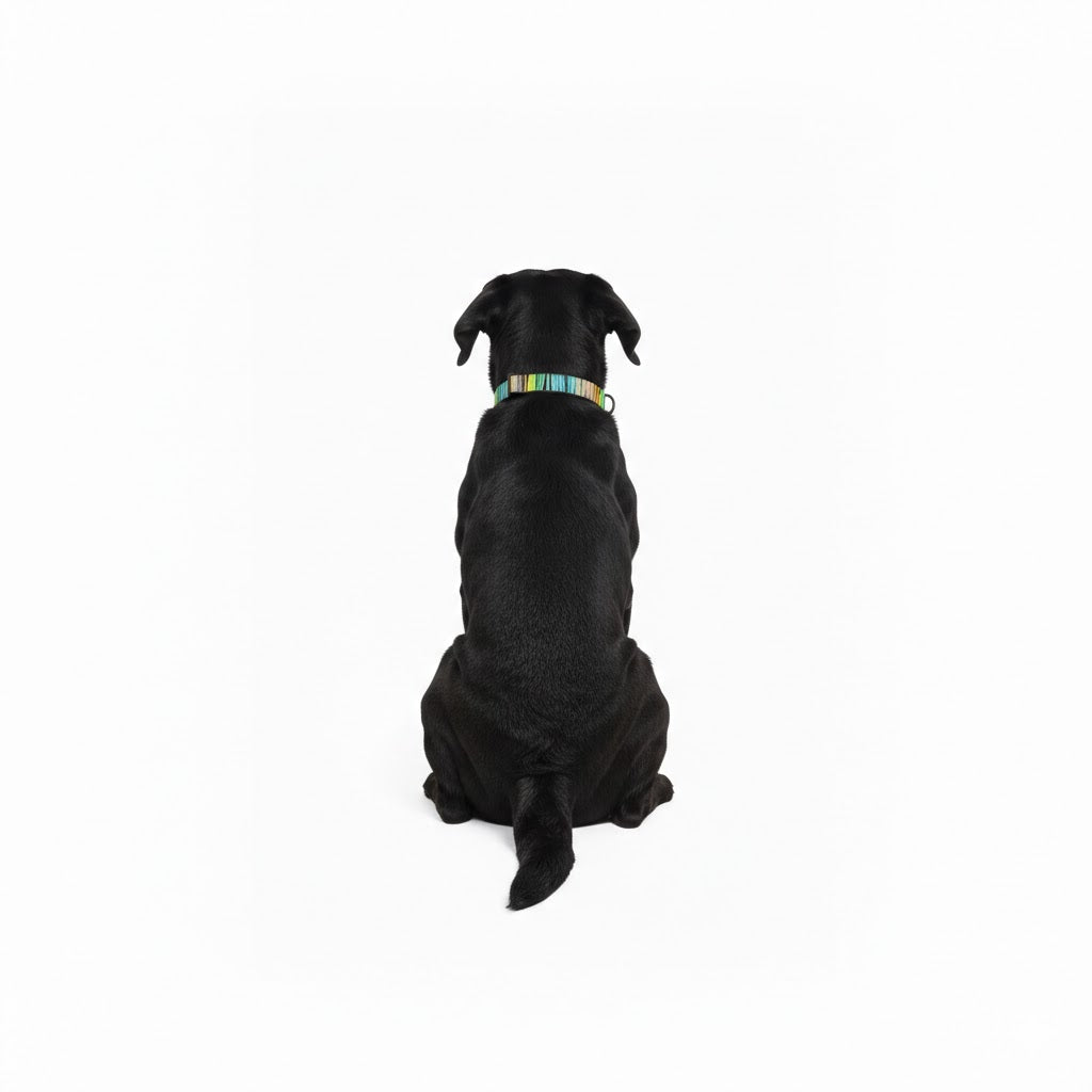 Verstellbares Halsband ZEBRA – 3 Größen – Bullosetti