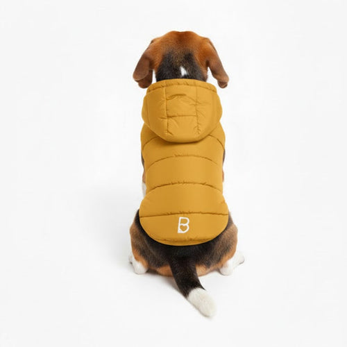 Caldo smanicato con cappuccio - mod.Casius - ecosostenibile