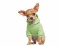 Luxury sweatshirt for dogs