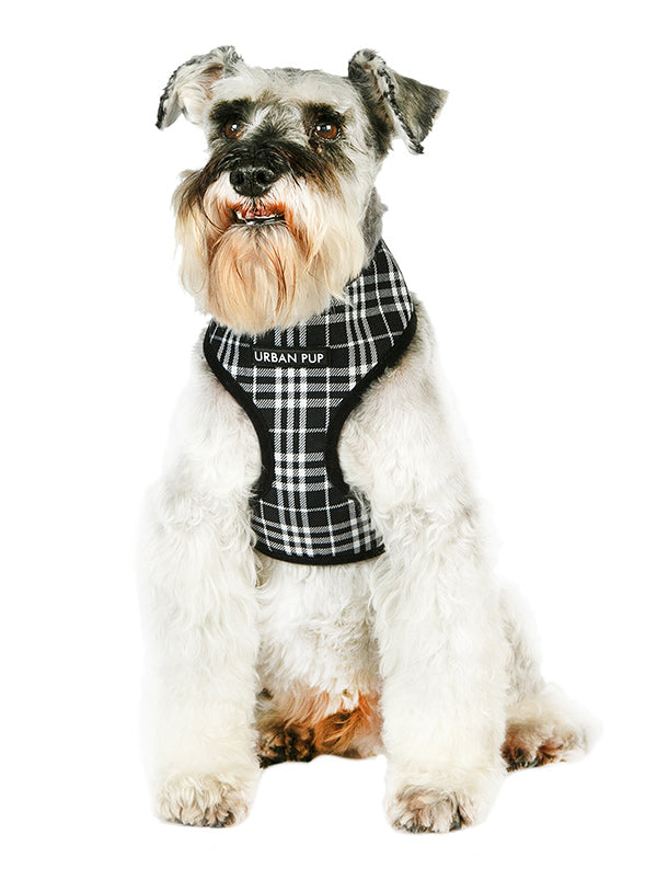 Black and white Tartan harness - Urban Pup