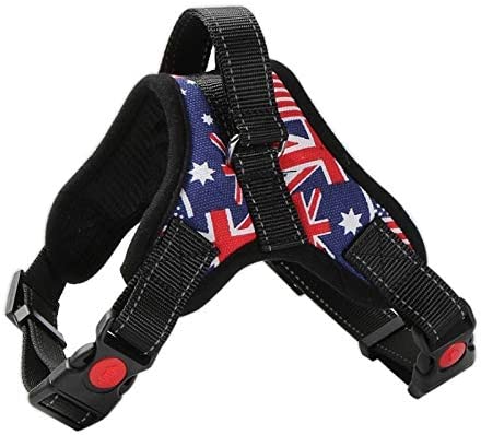 American harness - for dogs from 2 to 40kg