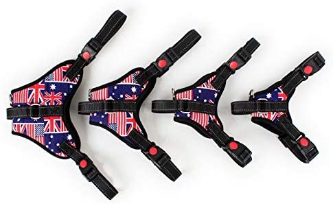 American harness - for dogs from 2 to 40kg