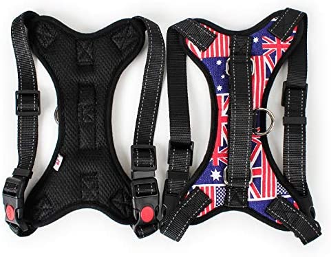 Pettorina American - per cani da 2 a 40kg