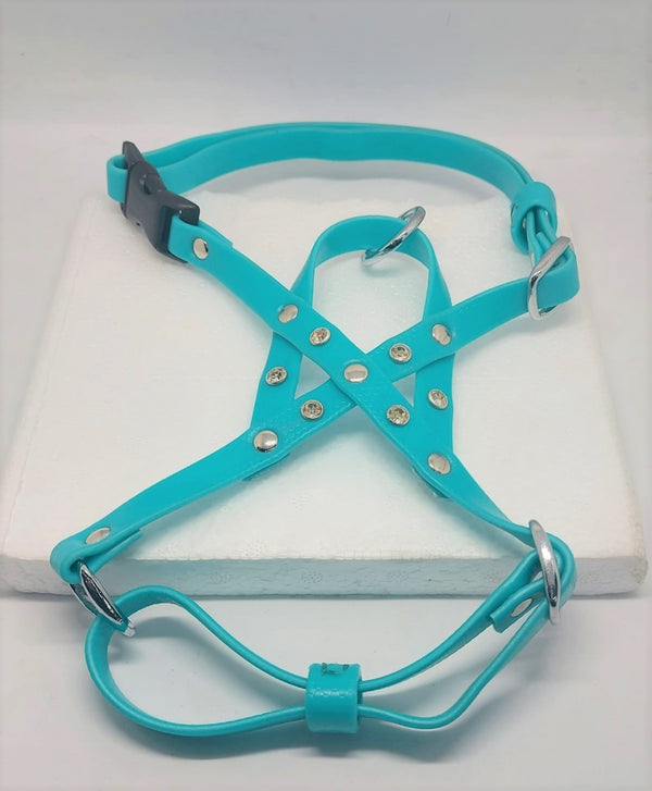 [SET] Blue Angel harness and leash