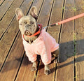 Felpa con cappuccio Devil & Unicorn - per cani da 2 a 40kg
