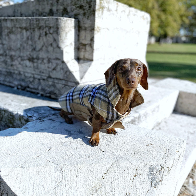 Reversible waterproof coat - mod.Scozia