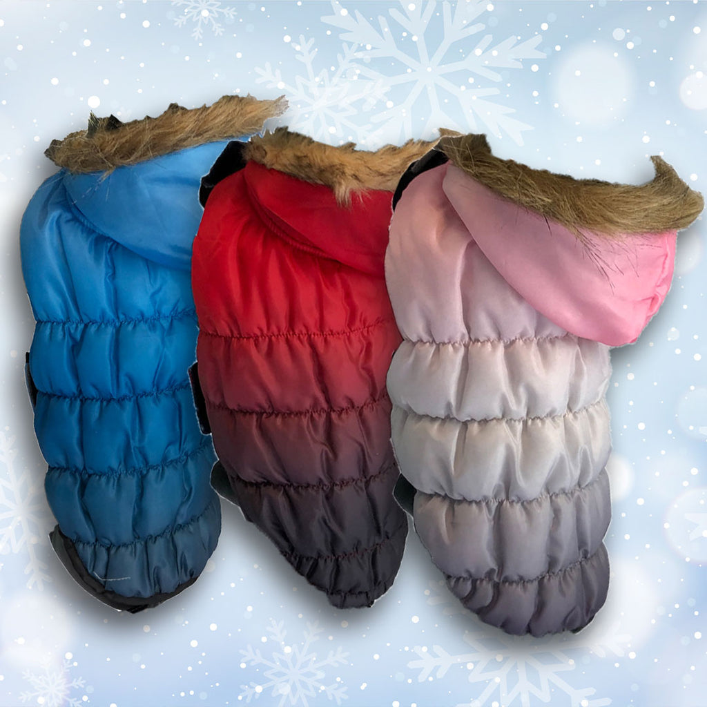 Dog Fur Hooded Padded Bomber Jacket - 3 Colors