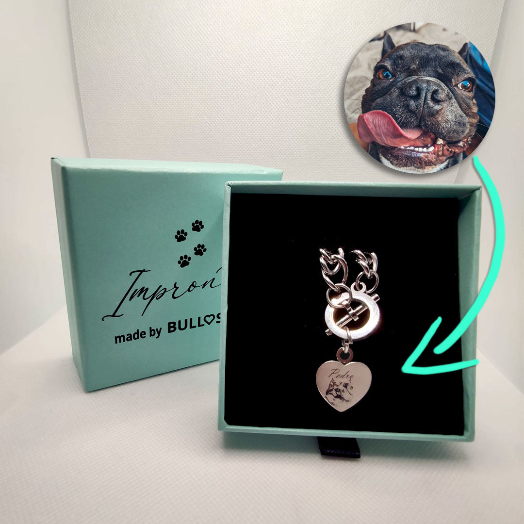 Personalisiertes Armband mit Porträt und Namen Ihres Hundes oder Ihrer Katze