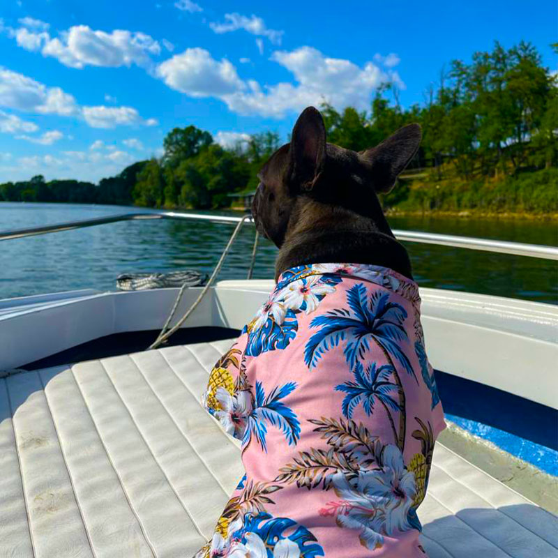 Camicia Hawaiana estiva - per cani da 2 a 40kg