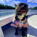 Sommerliches Hawaiihemd – für Hunde von 2 bis 40 kg
