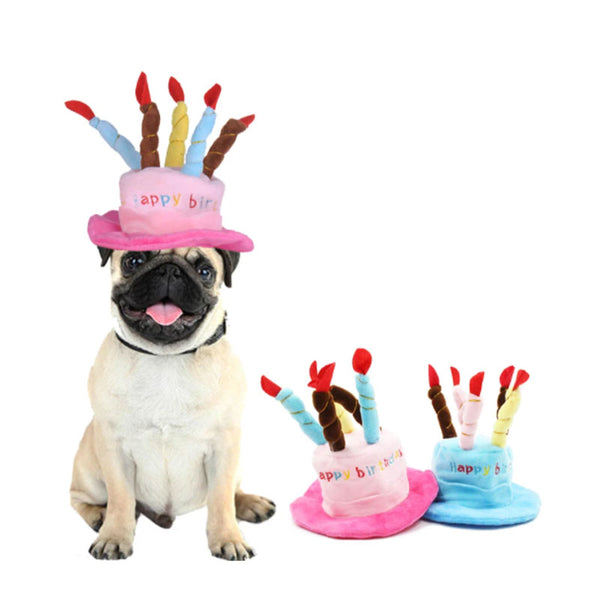 Cappello di compleanno per cani e gatti
