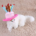 Cappello di compleanno per cani e gatti