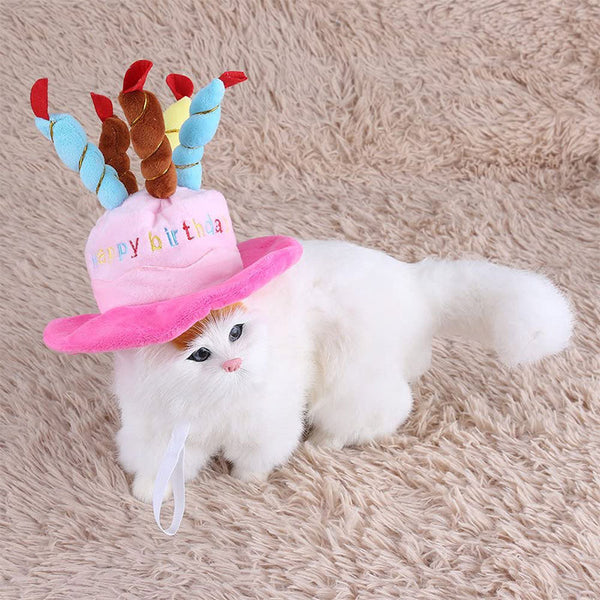 Birthday hat for dogs and cats