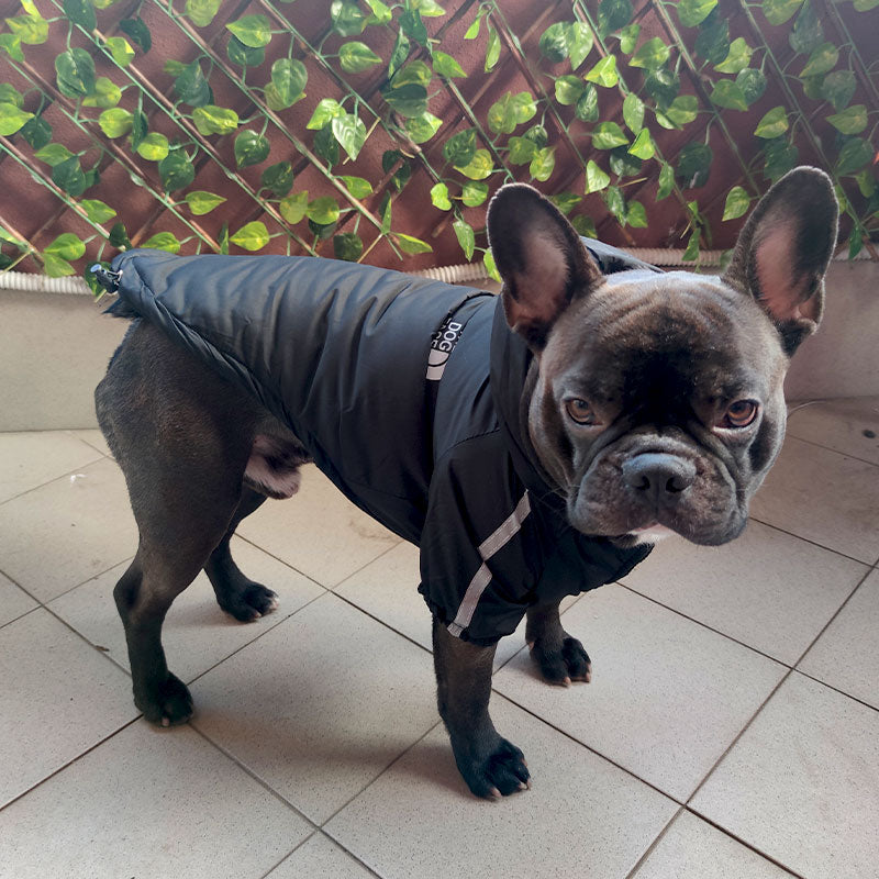 Waterproof coat with sleeves - The Dog Face