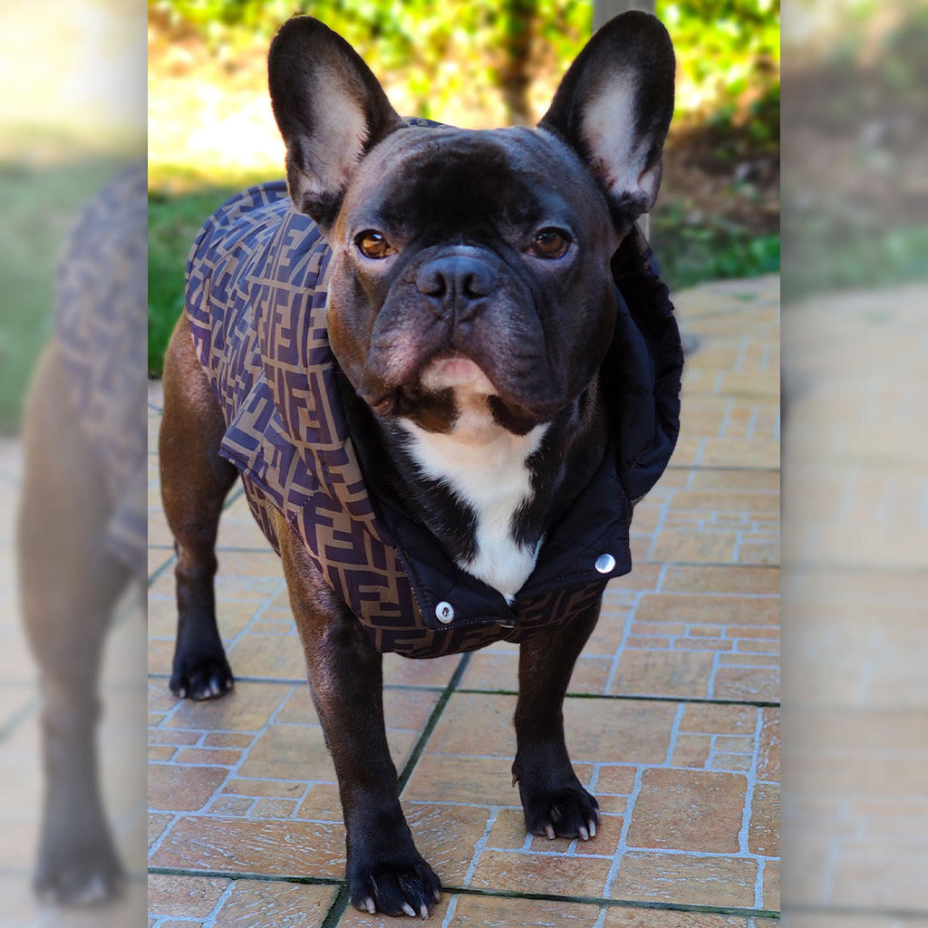 Coat with hood - sleeveless - luxury