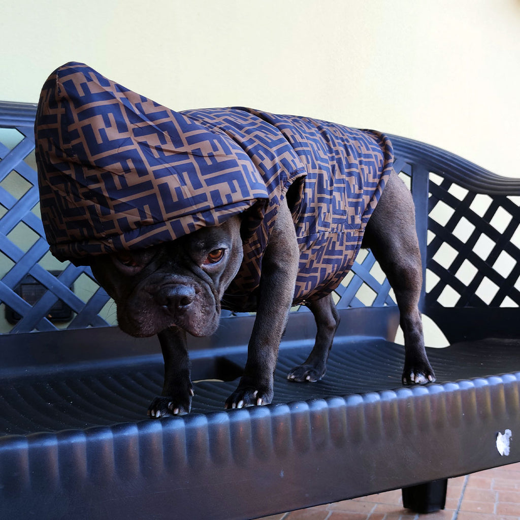 Coat with hood - sleeveless - luxury