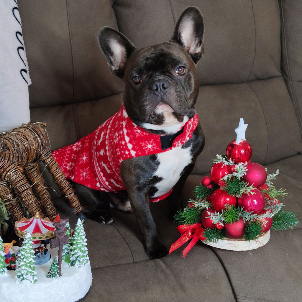 Cappotto Natalizio in pile per cani - reversibile