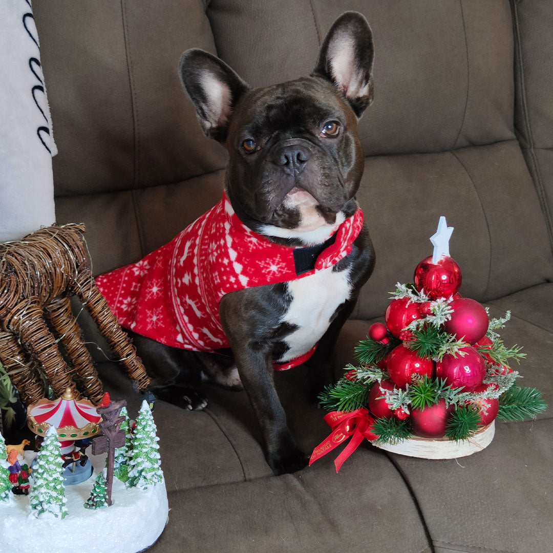 Cappotto Natalizio in pile per cani - reversibile