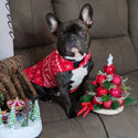 Weihnachts-Fleecemantel für Hunde – wendbar