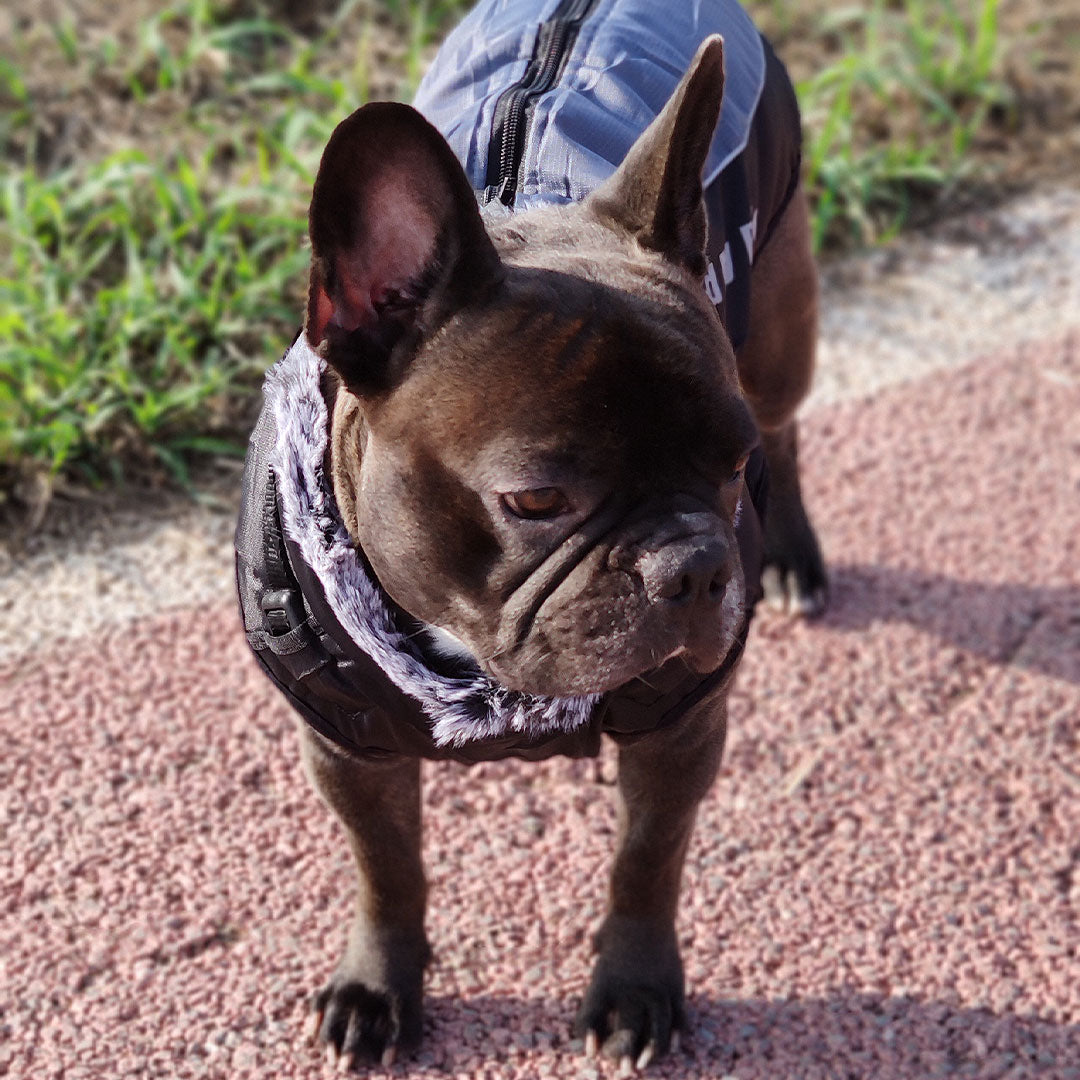 Cappotto impermeabile smanicato per cani - mod.Scotty