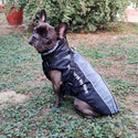 Sleeveless waterproof coat for dogs - mod.Scotty