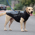 Sleeveless waterproof coat for dogs - mod.Scotty