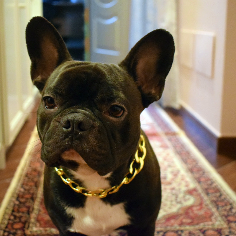 Bullosetti goldfarbene Halskette