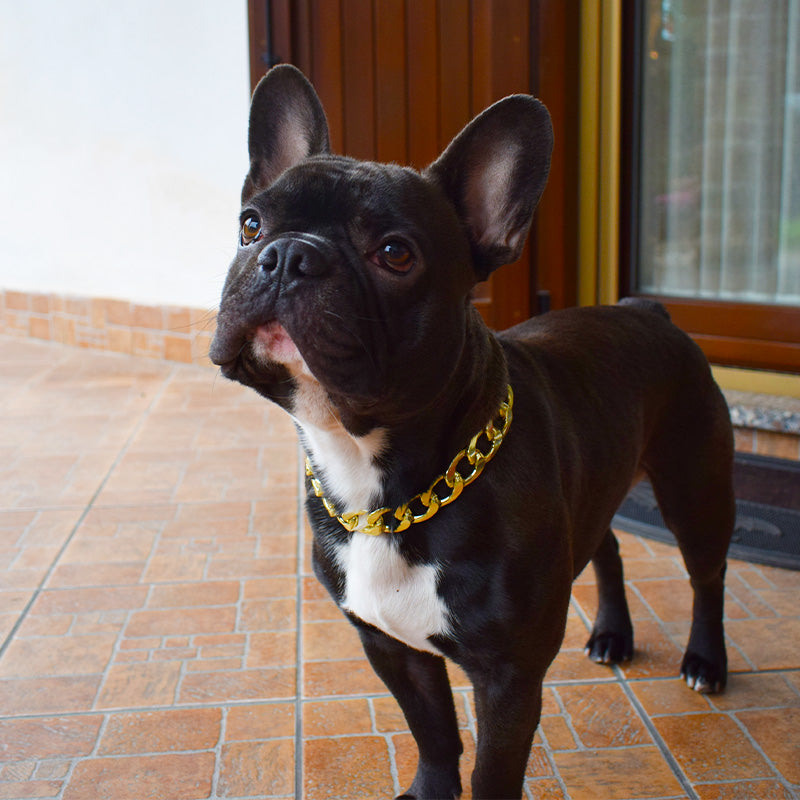 Bullosetti goldfarbene Halskette