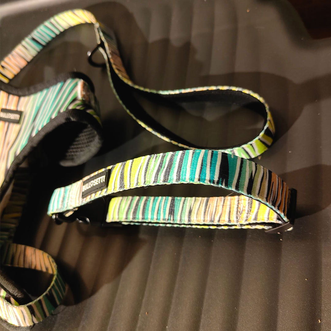 Verstellbares Halsband ZEBRA – 3 Größen – Bullosetti