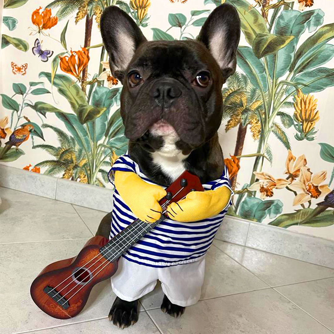 Kostüm für Hunde und Katzen - Gitarre