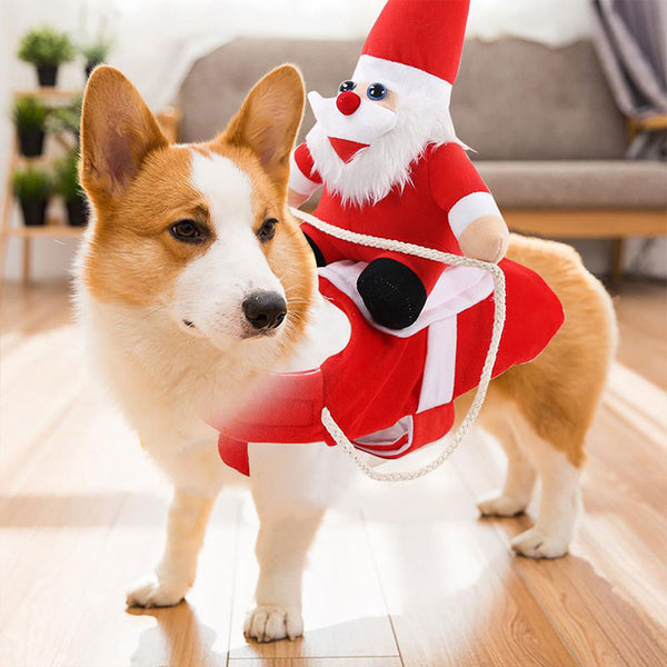 Weihnachtskostüm – für Hunde von 5 bis 50 kg