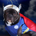 Costume Carnevale per cani e gatti - Thor