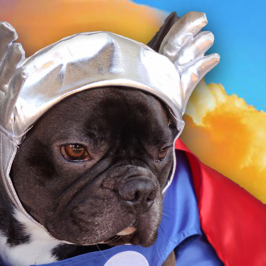 Costume Carnevale per cani e gatti - Thor