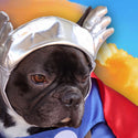 Carnival costume for dogs and cats - Thor