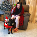Christmas Costume - for dogs from 5 to 50kg