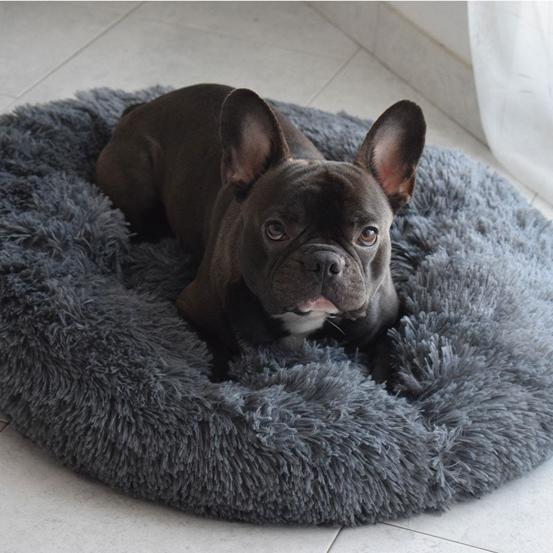 Pelzige Hundehütte für Tyrannen!