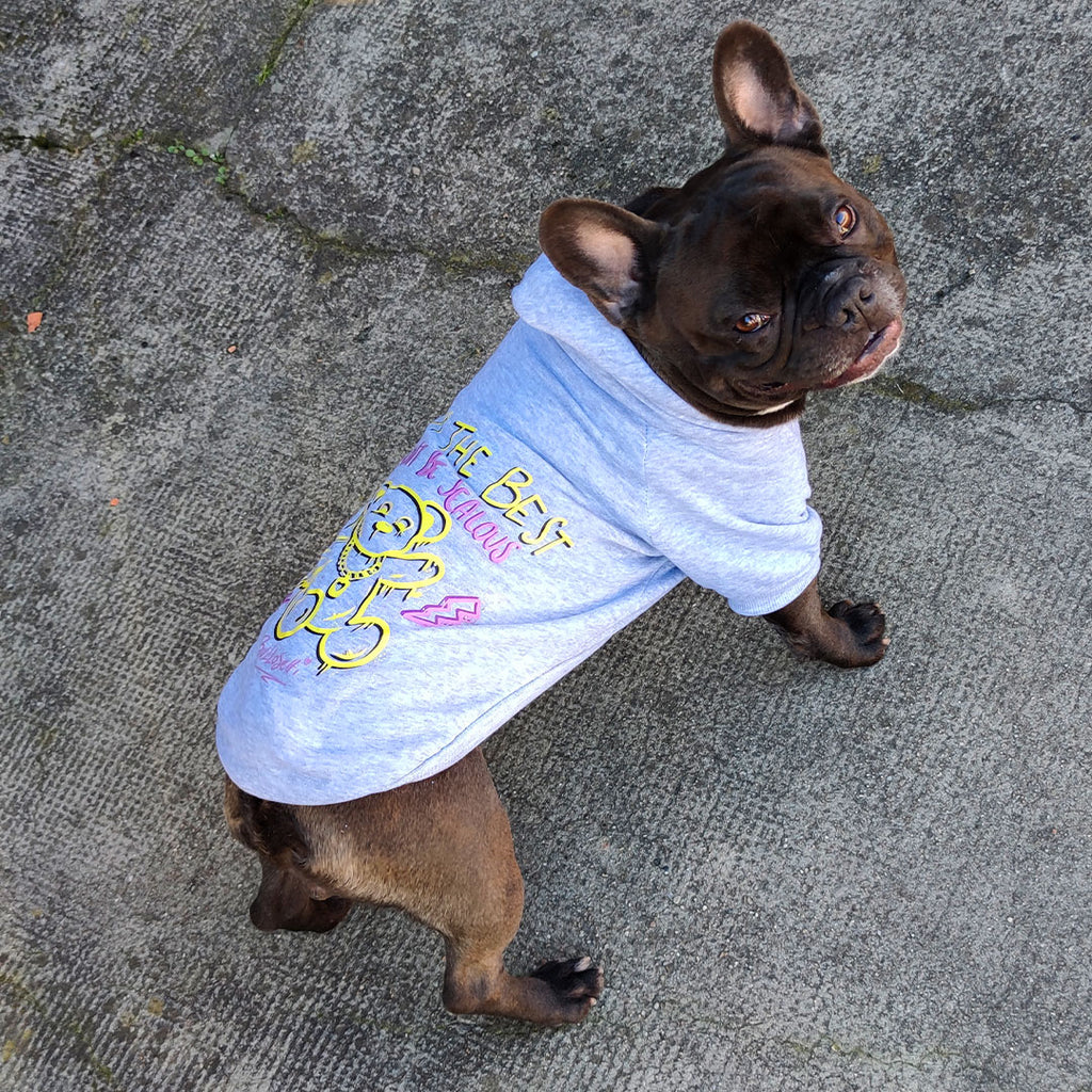 Hunde-Kapuzenpullover – grau – Bär – Streetwear