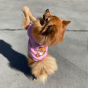 Kapuzenpullover - für Hunde - rosa - Bär - Streetwear