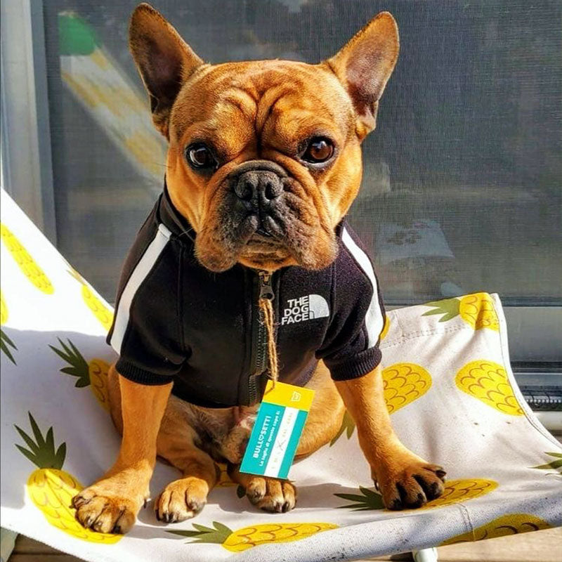 Schwarzes Sweatshirt „The Dog Face“ – Bullosetti