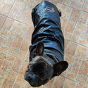 Black eco-leather jacket - with zip and pockets - for dogs from 2 to 40kg