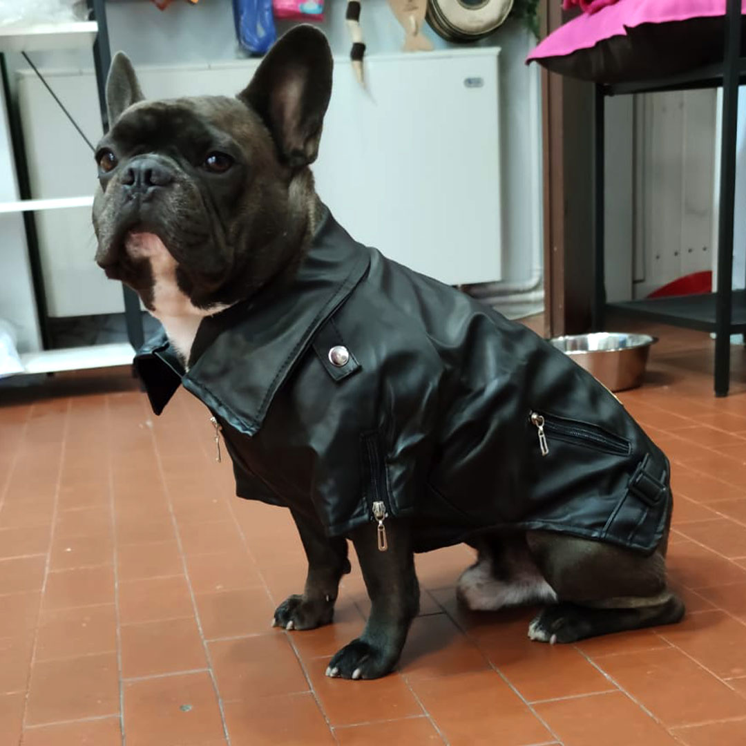 Giacca nera in ecopelle - con zip e tasche - per cani da 2 a 40kg