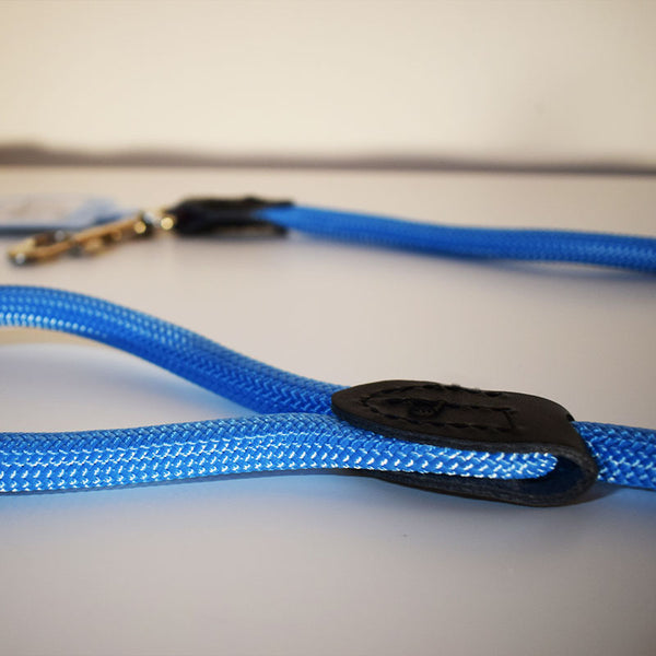 Colorful elegant leash
