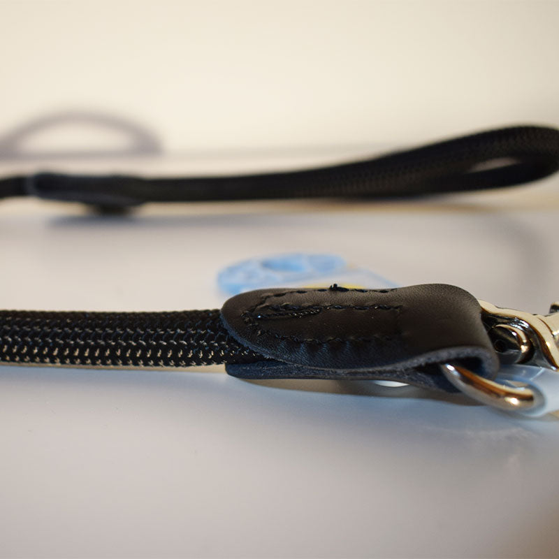 Bunte elegante Leine