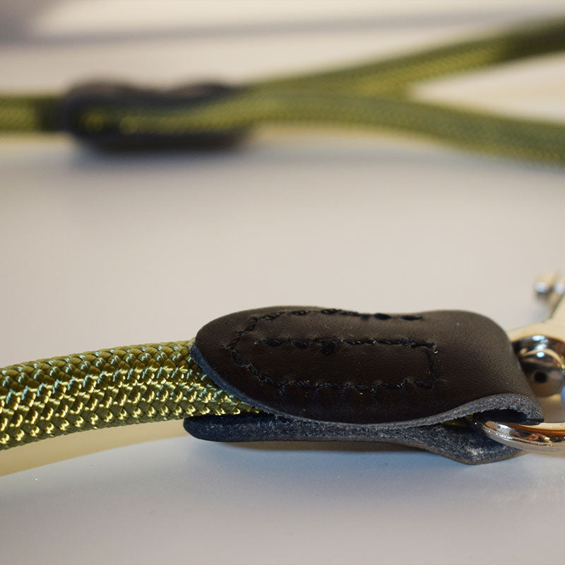 Bunte elegante Leine