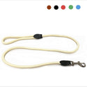 Colorful elegant leash
