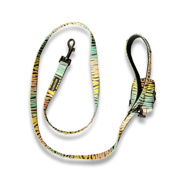 [SET] Halsband + Leine + Zebra-Taschenhalter